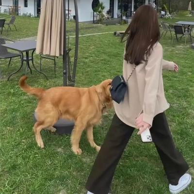 赤面煞星